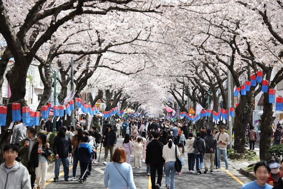 벚꽃 명소 추천