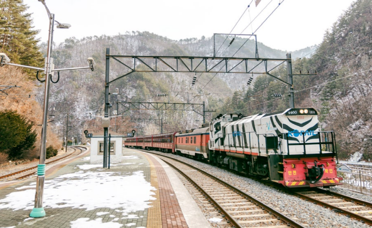 백두대간 협곡열차