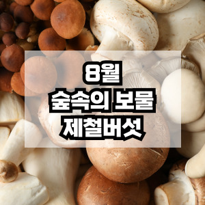 8월 제철 버섯