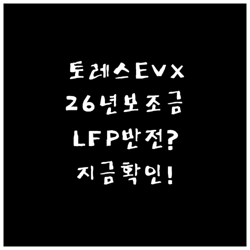 LFP 배터리 탑재 토레스 EVX 2..