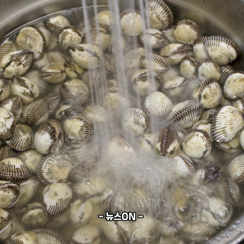 꼬막무침 황금 레시피