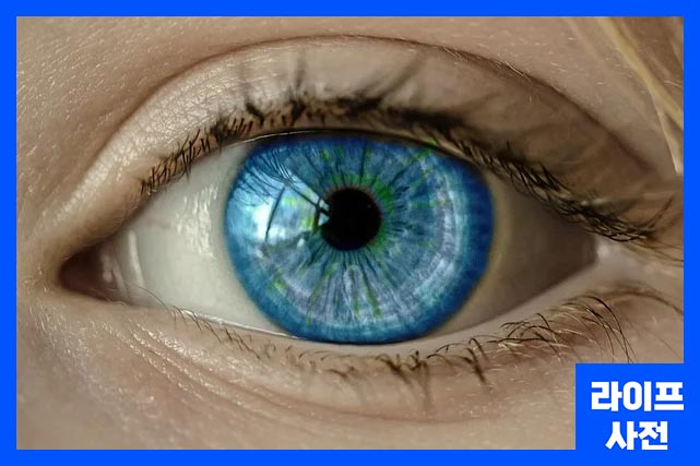 벨마비는 안면신경의 염증이나 외상으로 인해 한쪽 얼굴이 일시적으로 마비되면서 눈꺼풀이 떨리는 증상 발생