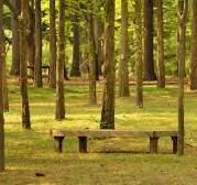 춘천 가볼만 한 곳