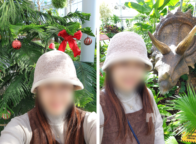 국립세종수목원