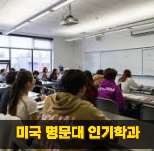 미국 명문대 인기 학과