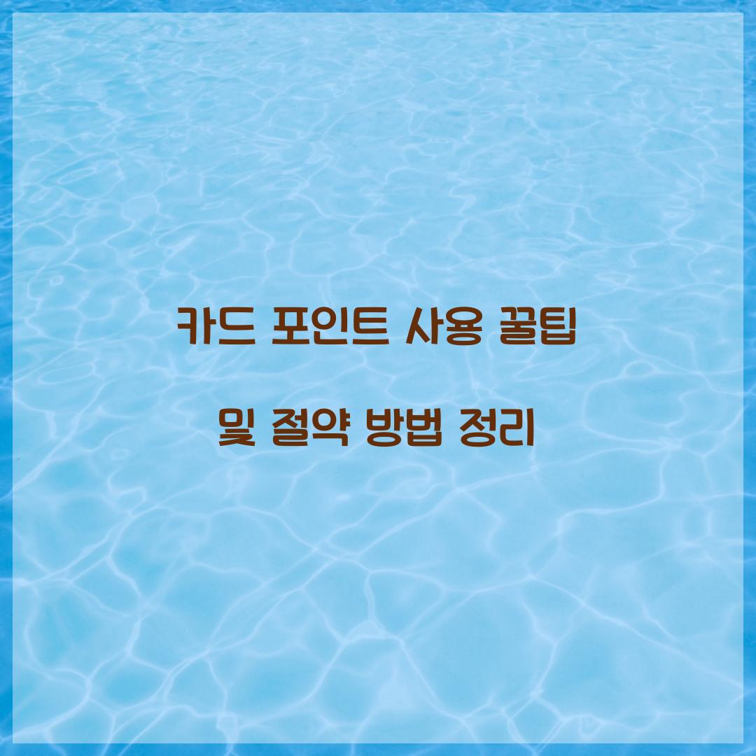 카드 포인트 사용