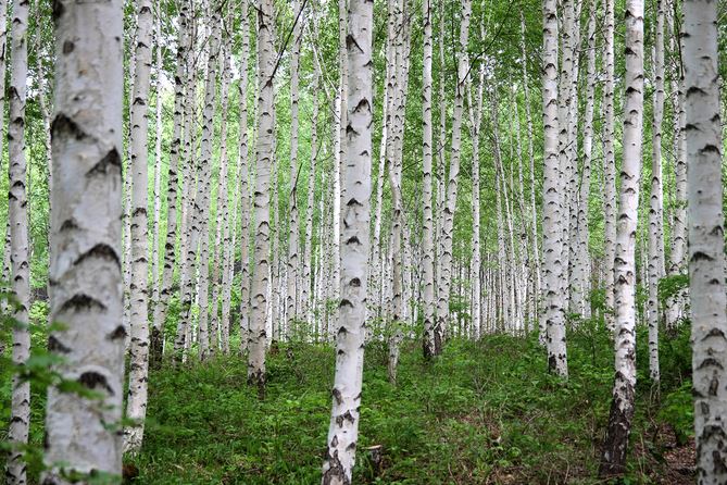 국내겨울여행지추천