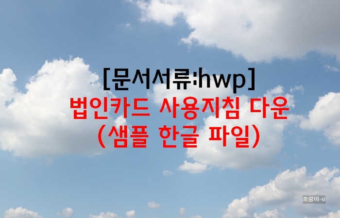 법인카드 사용지침