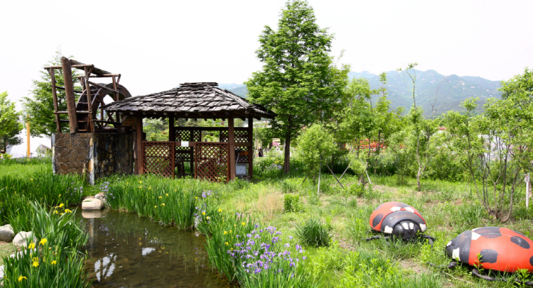 국립과천과학관