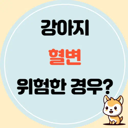 강아지 혈변, 질병의 위험 신호일 수 있습니다!