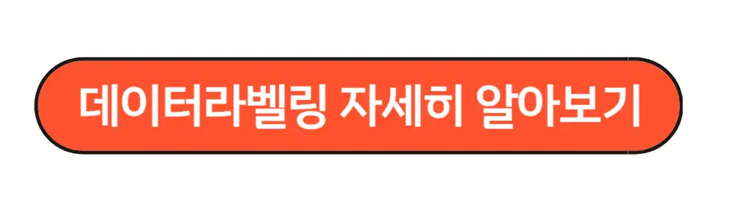 데이터라벨링