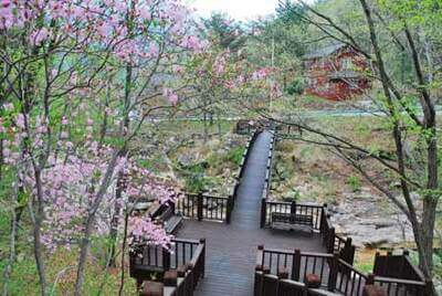 숲나들이E 예약