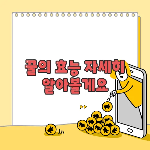 꿀의 효능 자세히 알아볼게요