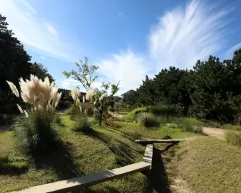 천리포수목원 가을축제_2