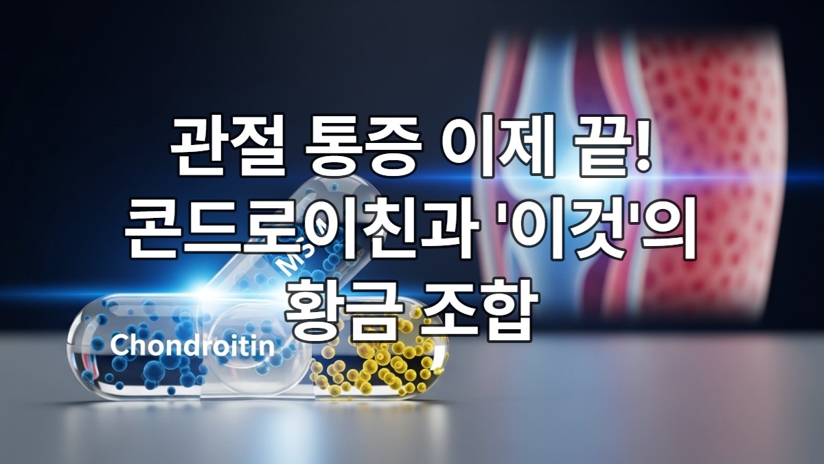 2026년 최신 연구를 상징하는 미래지향적인 실험실에서 콘드로이친과 MSM 캡슐이 시너지 효과를 내며 관절 연골을 보호하는 모습