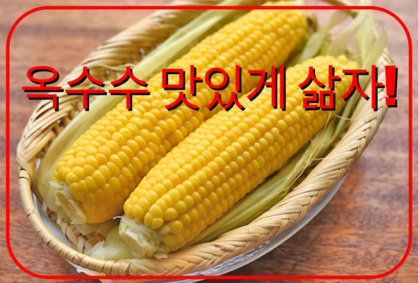 옥수수 삶는 방법 맛있게 삶는 시간