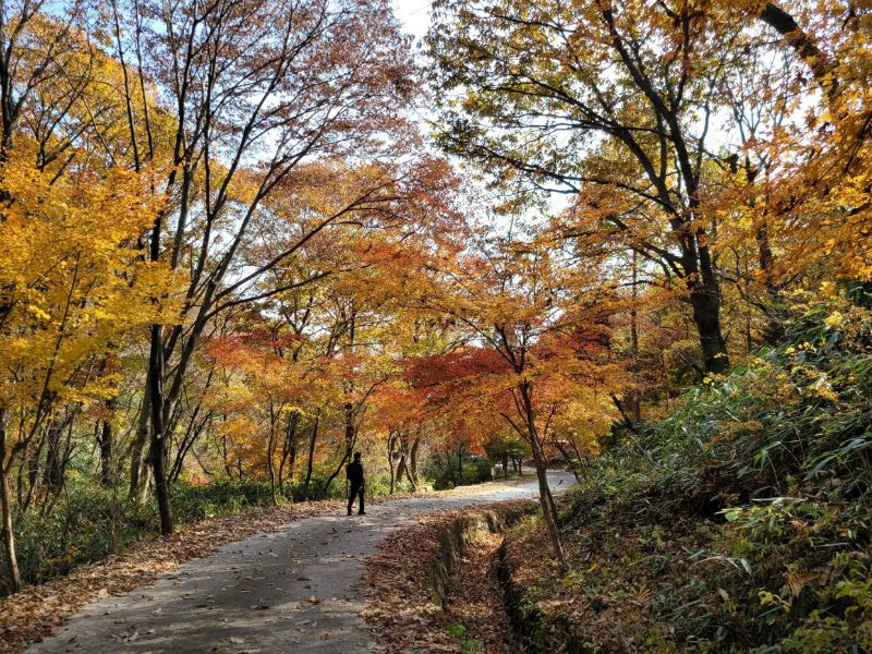 국립회문산자연휴양림