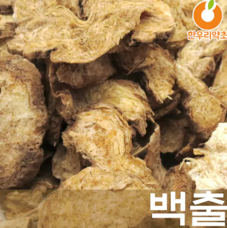 백출