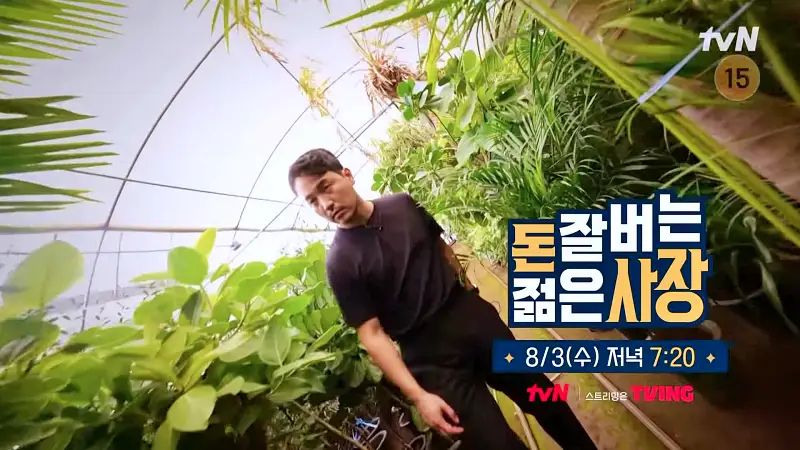 돈 잘버는 젊은사장 식물 인테리어로 부자가 되다 '억' 소리 나는 플랜테리어 조경설계 실내조경 식집사 서장훈 주우재 추천 소개