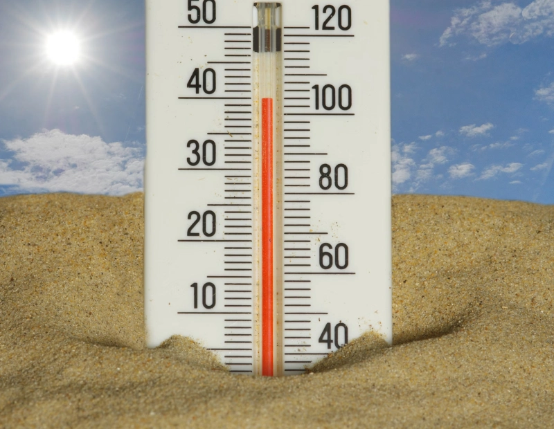 초복 중복 말복 날짜