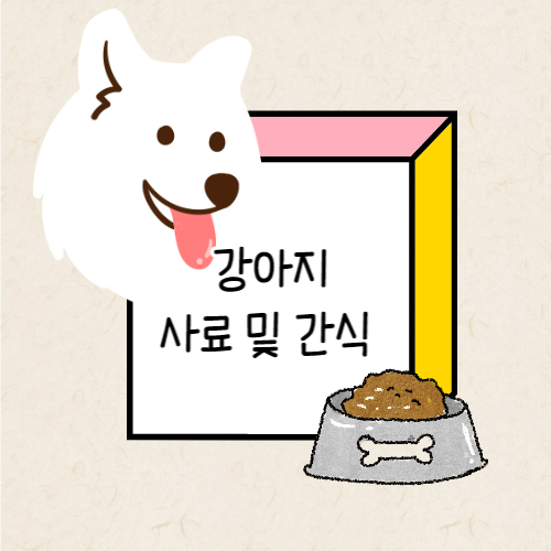 강아지 사료 및 간식