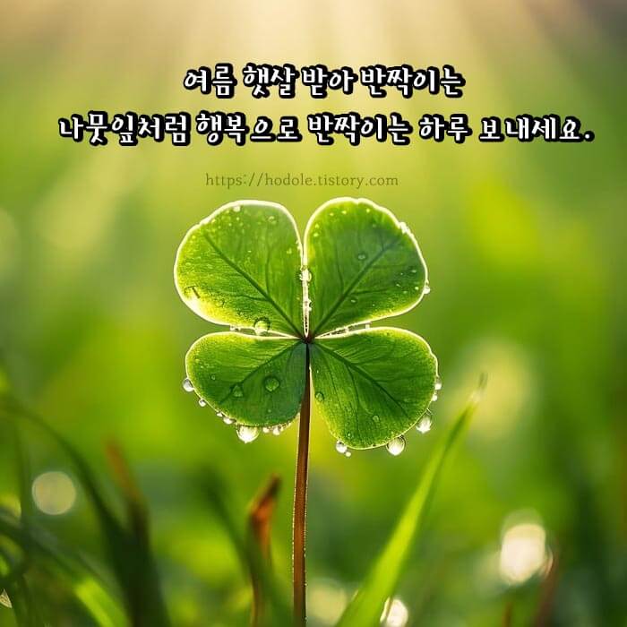 여름 카톡 인사말 이미지