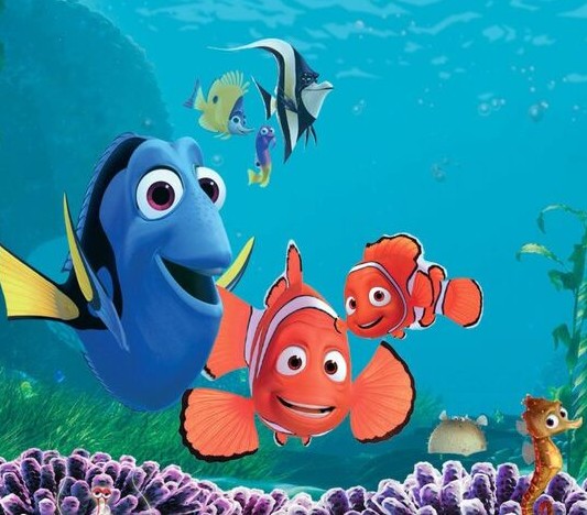 니모를 찾아서