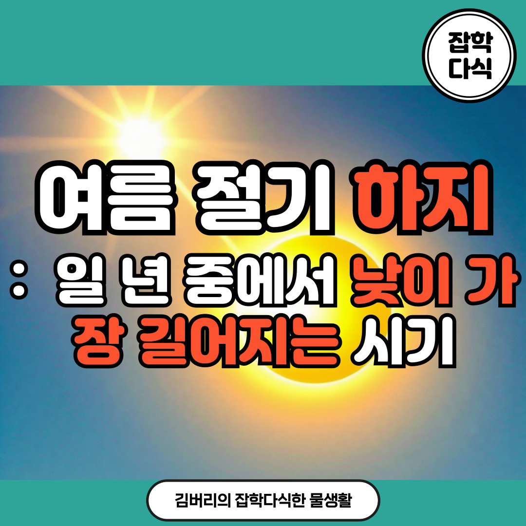 여름 절기 하지