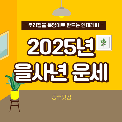 2025년 을사년 띠별 운세