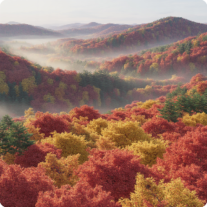 2025 화담숲 단풍 절정시기 가상 이미지