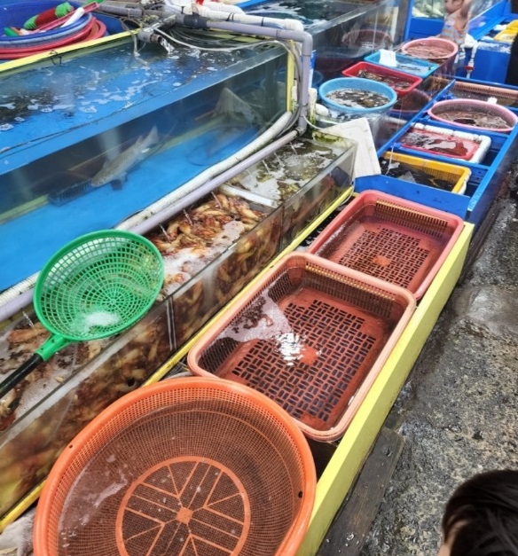 창원-횟집-남흥횟집-