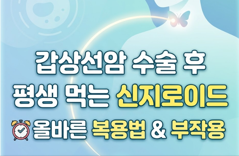 갑상선 호르몬 신지로이드 복용법과 부작용