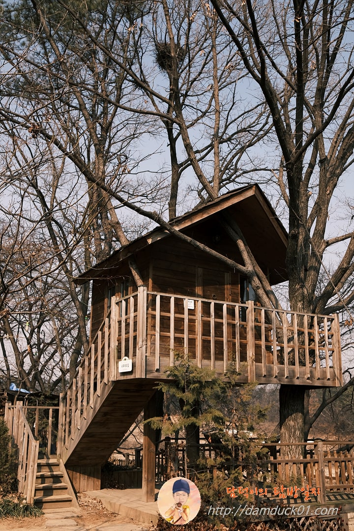 나무 위의 집