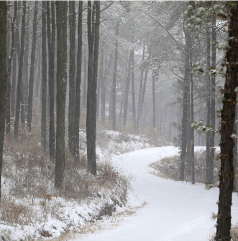 대구 군위 사유원 관람 예약