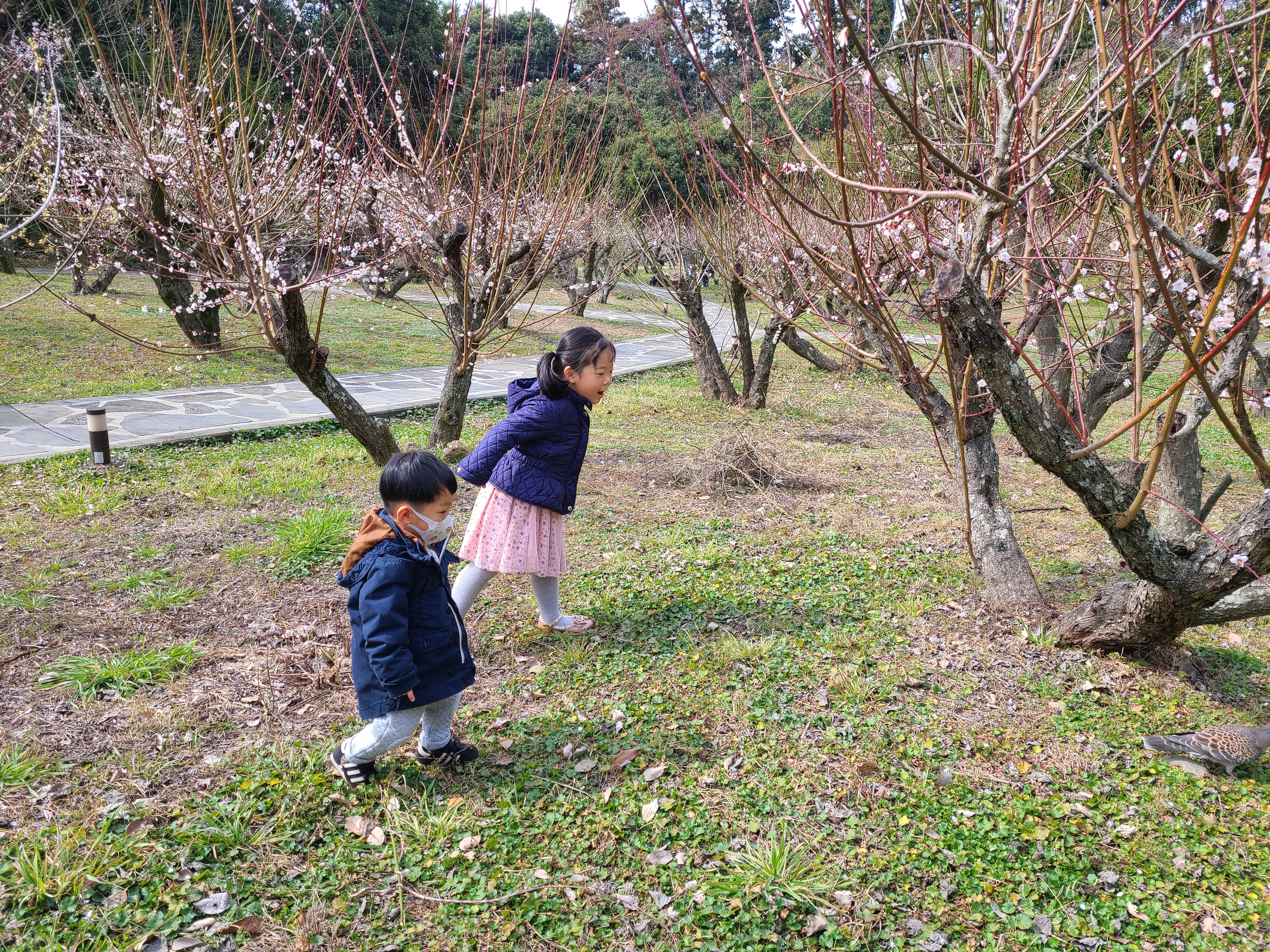 매화나무 아래 지아와 하준이가 산책하며 즐거워하는 모습