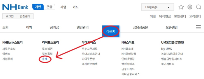 신년운세 무료보기