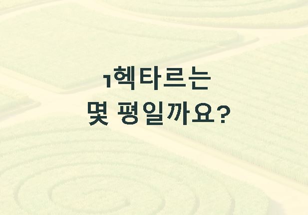 1헥타르는 몇평