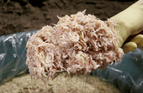 6시 내고향 충북 영동 산속 새우젓