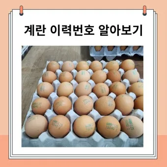 계란에 적힌 번호가 정확히 뭘까 계란 난각번호 4번 제대로 알고 먹고 있나요_25