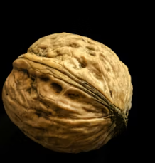 알부민 부작용 복용시간