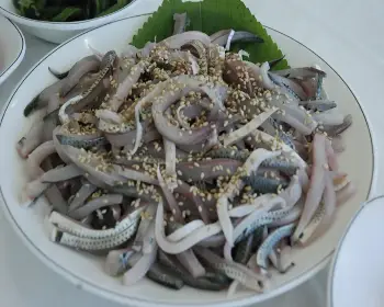 서천 홍원항 자연산 전어 꽃게 축제_18