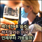 백신 전 후 음주 썸네일 이미지