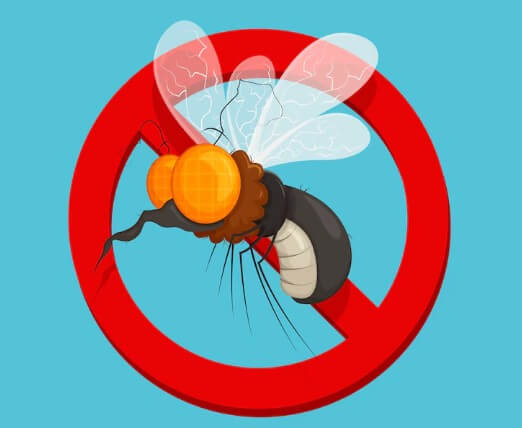 날파리-알-퇴치-제거-없애는-법-2 