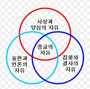 표현의 자유