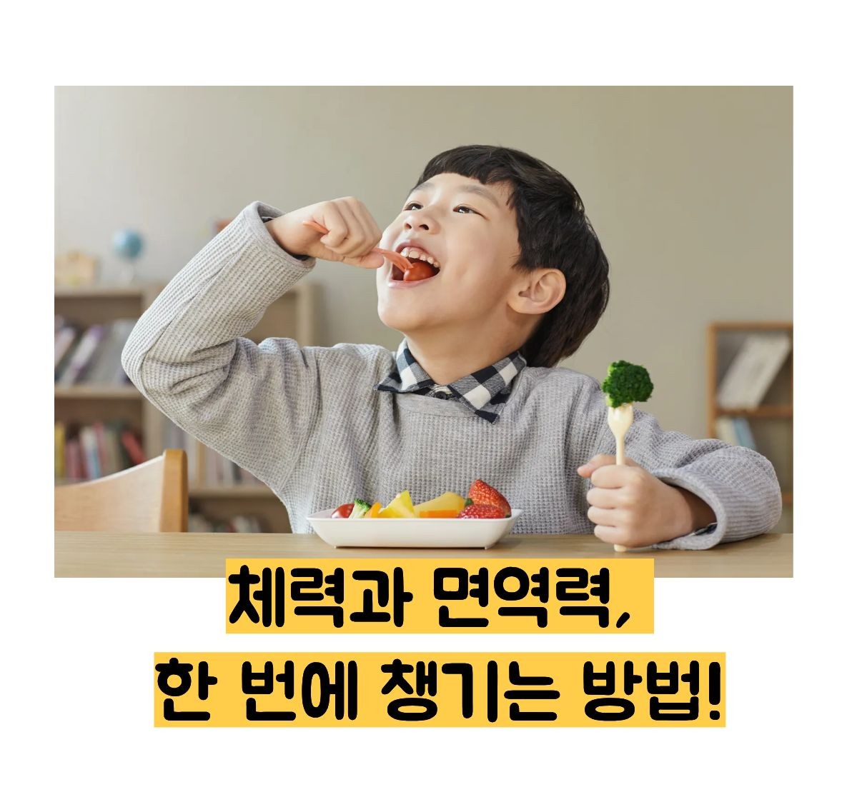 메가도스 효능