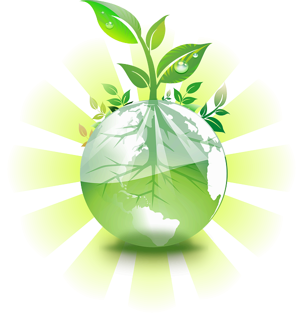 크래들 투 크래들(Cradle to Cradle) 디자인 철학과 사례