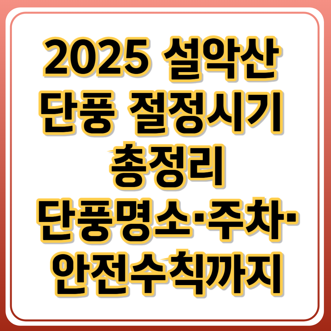 2025 설악산 단풍 절정시기 총정리_단풍명소&middot;주차&middot;안전수칙까지