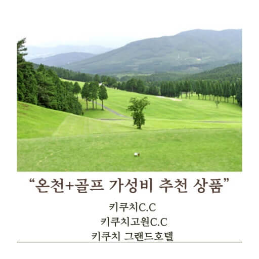 노캐디로 즐기는 골프