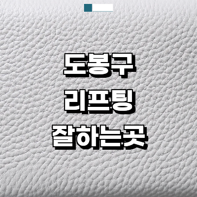 서울 도봉구 리프팅 병원