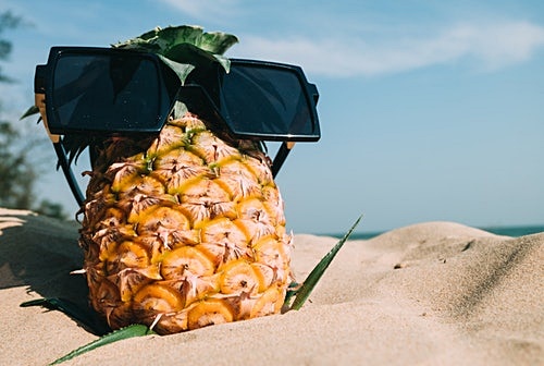 2. 항산화효능이 뛰어나다.